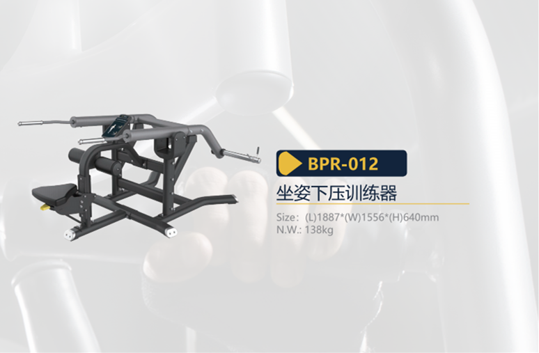 BPR-012.png